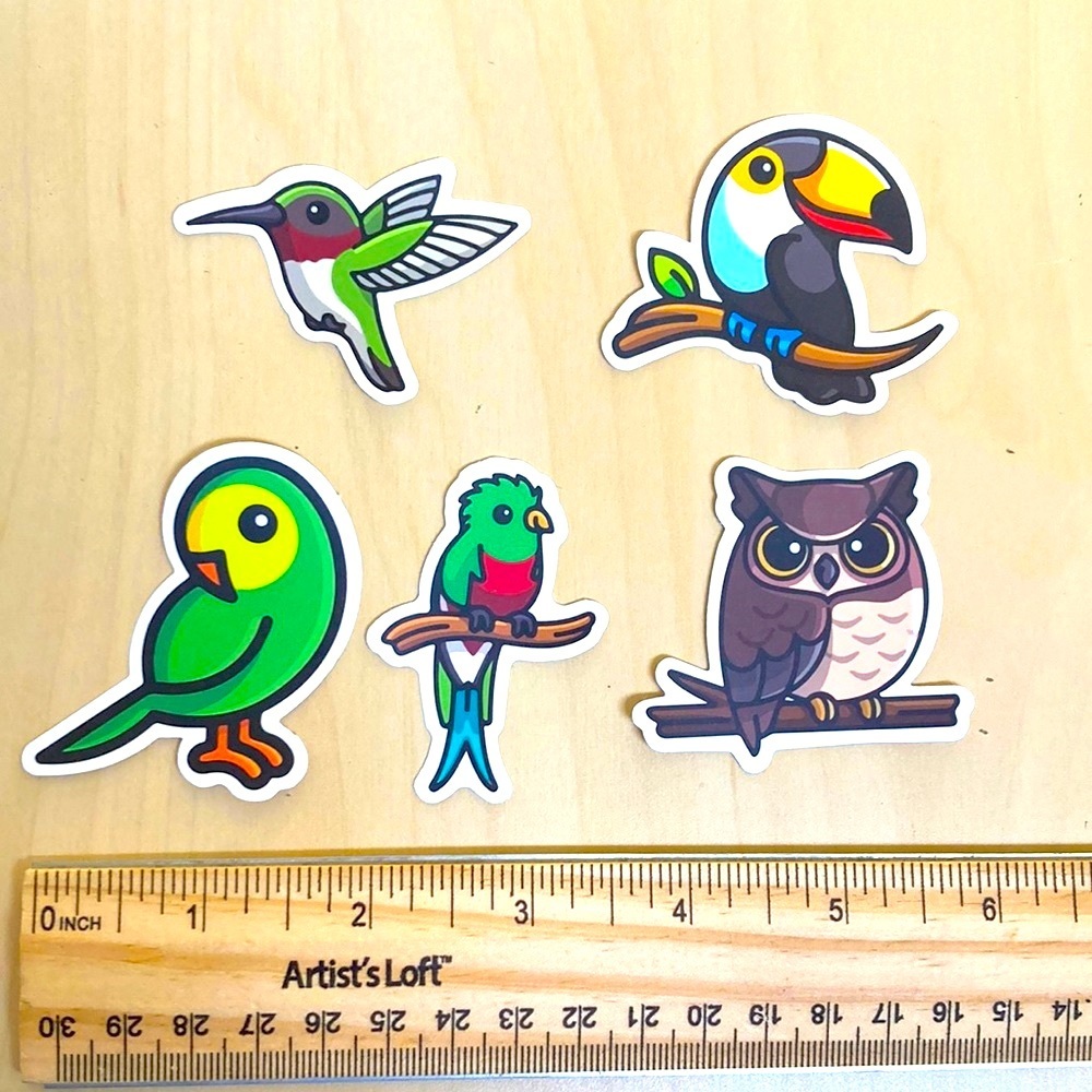 10/$10‎ or $1 BUNDLE: 5 WATERPROOF Bird Stickers 🐦